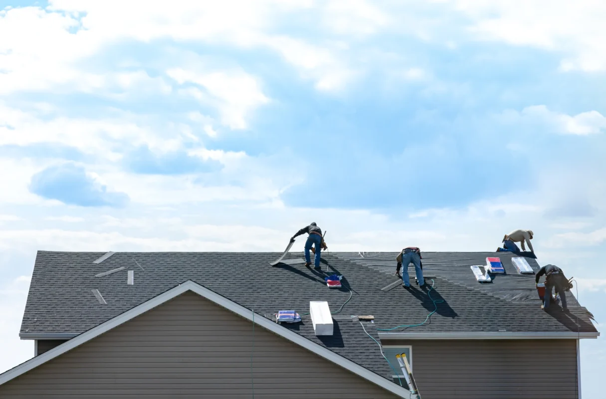 Shingle Roof Repair in Palm Coast, FL